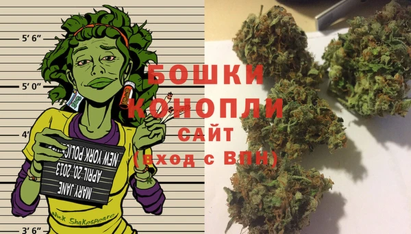 ешки Гусь-Хрустальный
