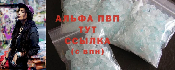 ПСИЛОЦИБИНОВЫЕ ГРИБЫ Горно-Алтайск