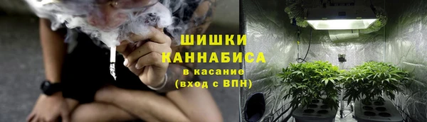 спайс Гусев