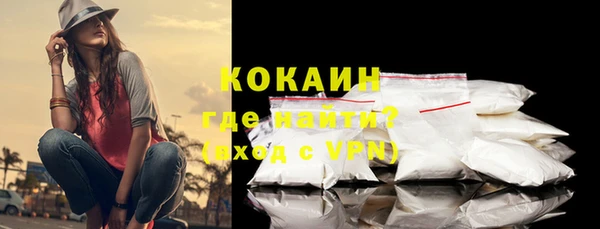 спайс Гусев