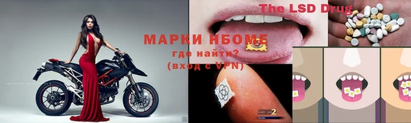 ешки Гусь-Хрустальный