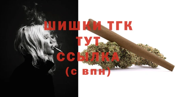 ешки Гусь-Хрустальный