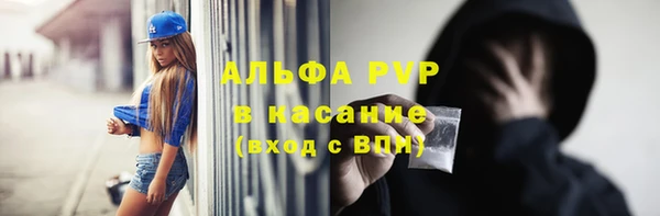 спайс Гусев