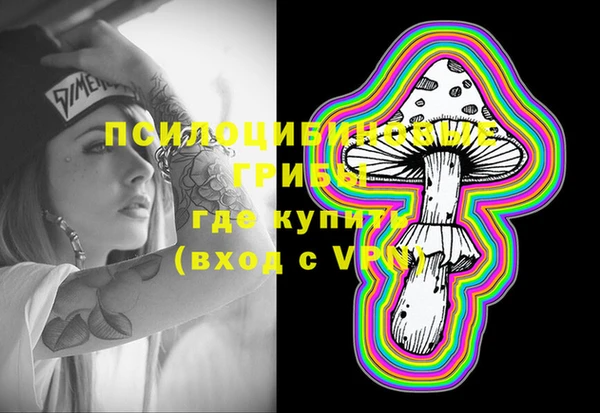 бошки Горняк