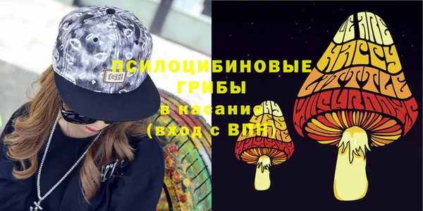 ПСИЛОЦИБИНОВЫЕ ГРИБЫ Горно-Алтайск