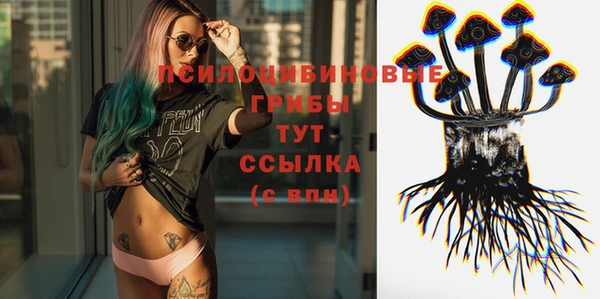 прущая мука Гусиноозёрск