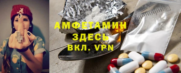 ПСИЛОЦИБИНОВЫЕ ГРИБЫ Горно-Алтайск