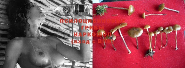 бошки Горняк