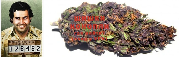 прущая мука Гусиноозёрск