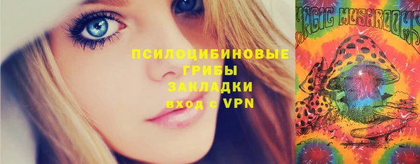 бошки Горняк