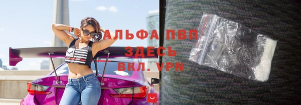 ПСИЛОЦИБИНОВЫЕ ГРИБЫ Горно-Алтайск