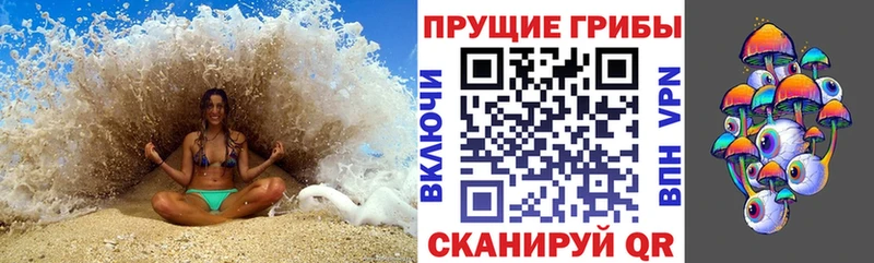 мега ТОР  где найти   Чегем  Псилоцибиновые грибы Cubensis 