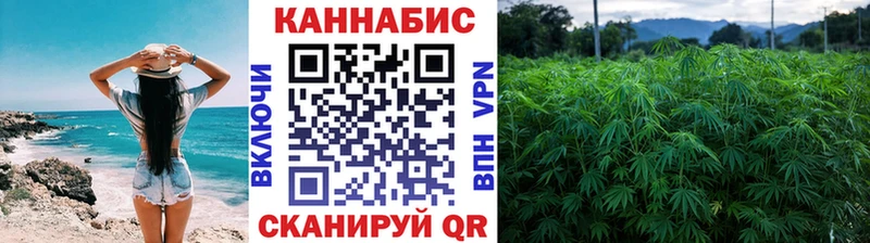 ссылка на мегу зеркало Чегем Марихуана MAZAR